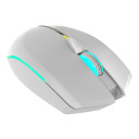Wesdar Mouse X536