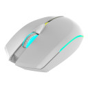 Wesdar Mouse X536