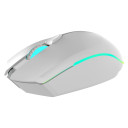 Wesdar Mouse X536