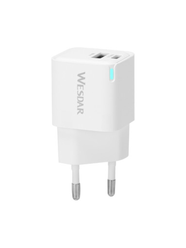 Wesdar AC Charger AC180-AC