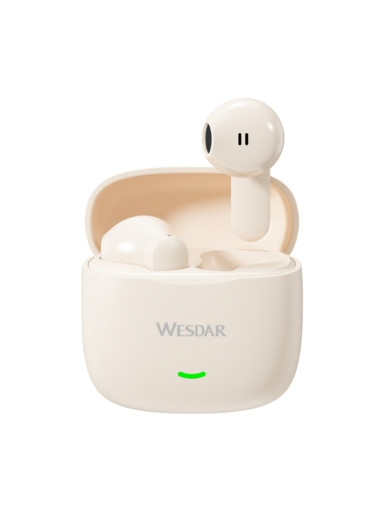 Wesdar TWS Earbuds TWS601